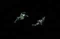 des paysages 17 * 4272 x 2848 * (1.4MB)